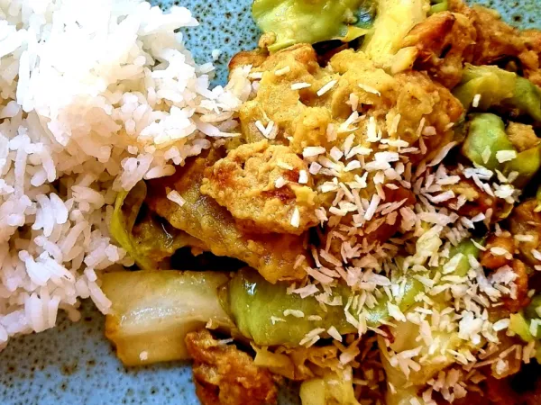 Vegan rendang met spitskool